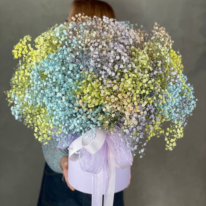 Бокс из гипсафил в Смоленске