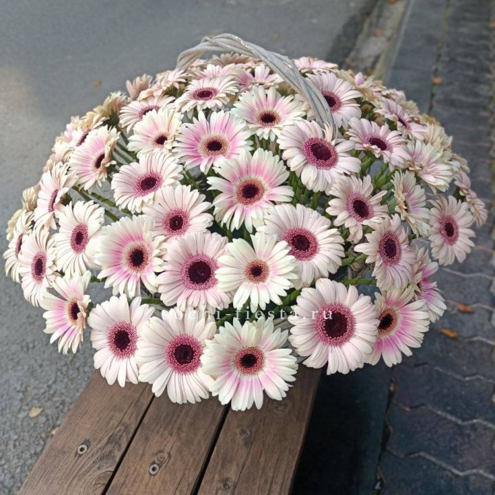 Корзина с герберами  в Смоленске