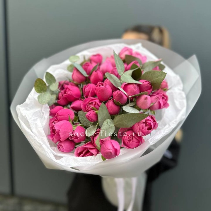 17 Мисти бабблс в Смоленске