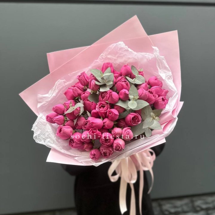 25 Мисти бабблс в Смоленске