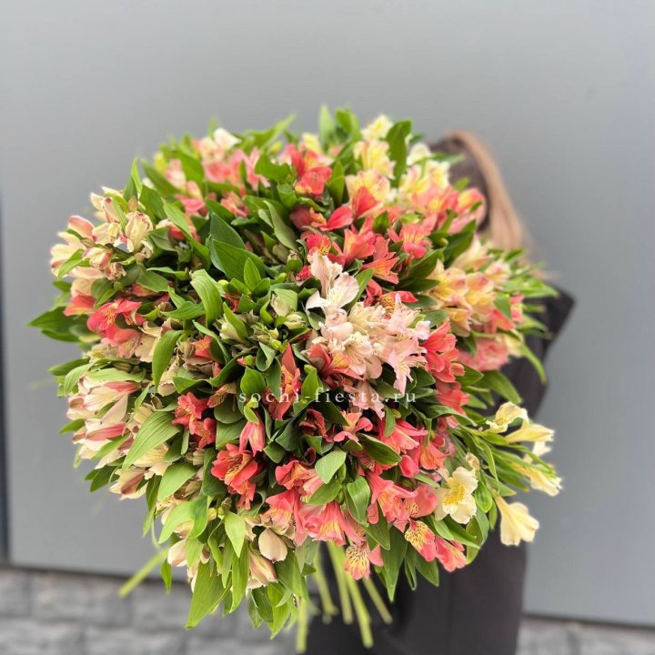 51 альстромерия в Смоленске