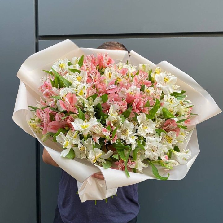 39 альстромерий в Смоленске