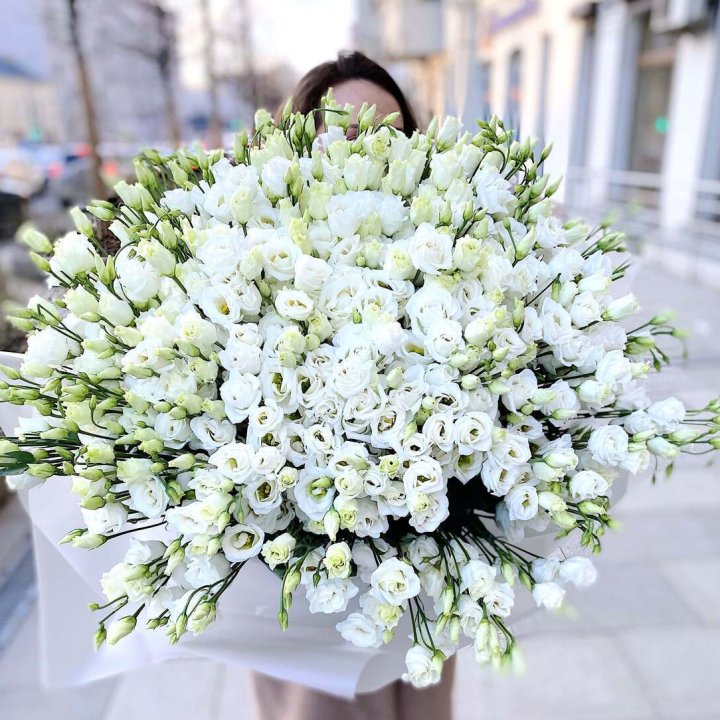 101 белая эустома в Смоленске