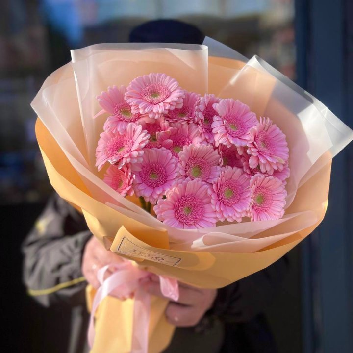 17 розовых гербер  в Смоленске