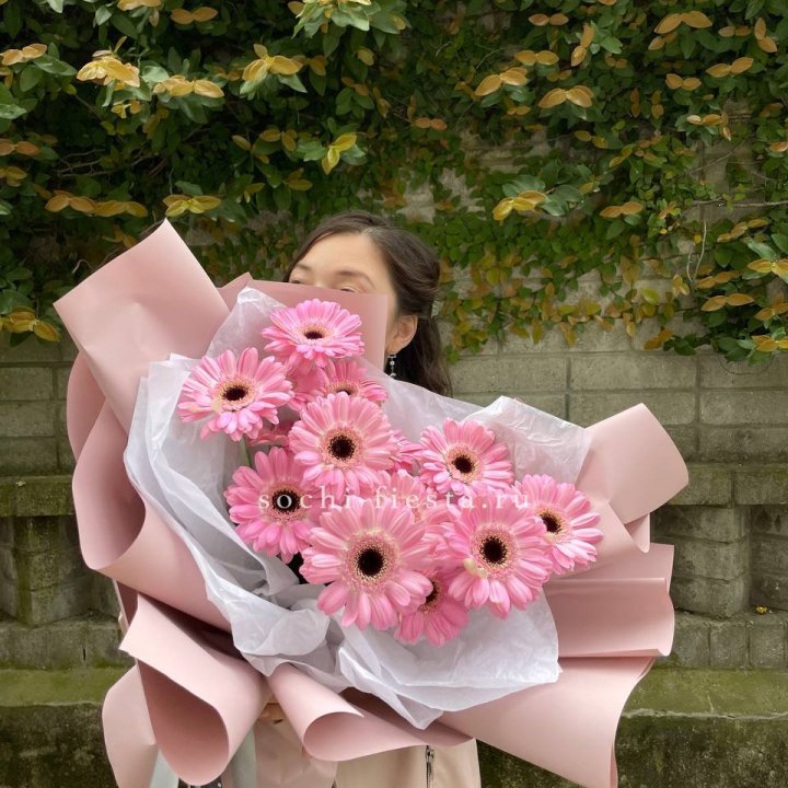 13 розовых гербер в Смоленске