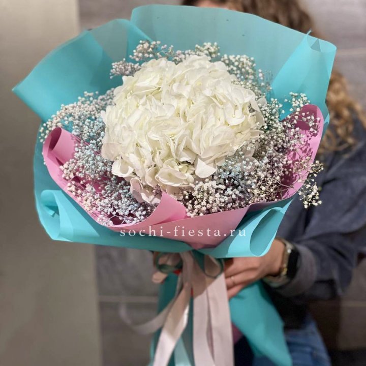 Гортензия "Райдов" в Смоленске