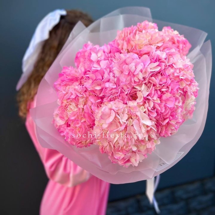 7 ярко розовых гортензий в Смоленске