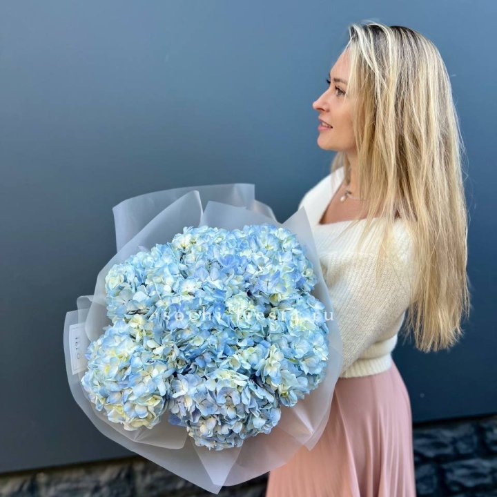 7 голубых гортензий в Смоленске