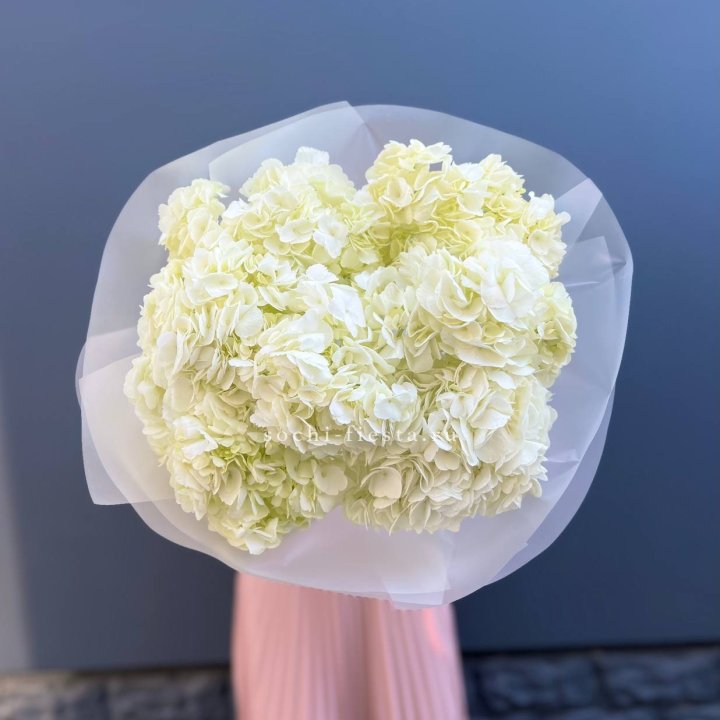 7 белых гортензий в Смоленске