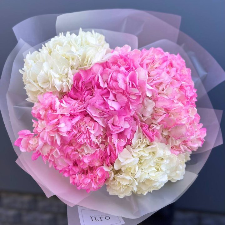 5 бело-розовых гортензий в Смоленске