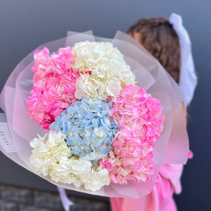 7 гортензий микс в Смоленске