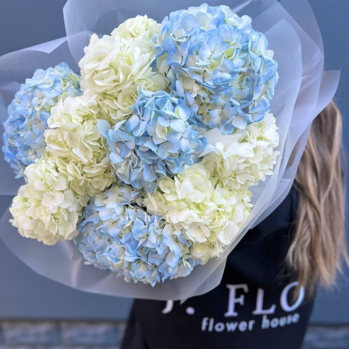 9 бело-голубых гортензий в Смоленске