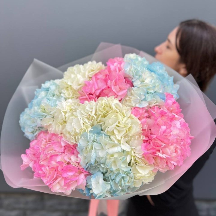 9 гортензий микс в Смоленске