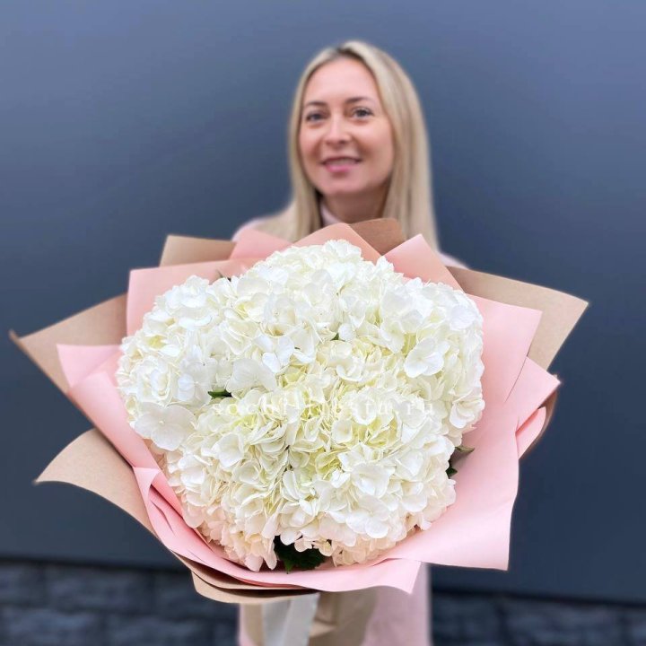 Гортензия белая в Смоленске