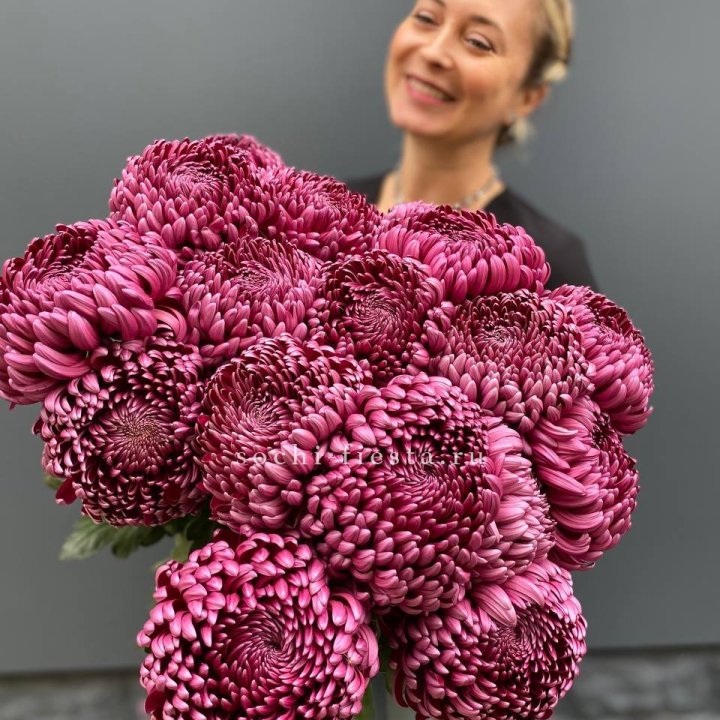 Охапка хризантем Бигуди в Смоленске