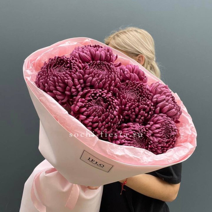 9 хризантем бигуди в Смоленске