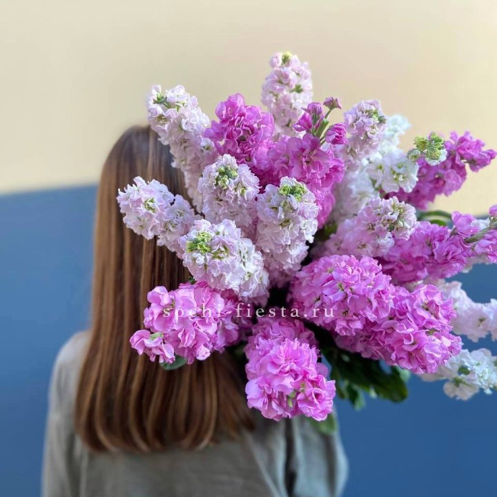 Охапка маттиолы в Смоленске