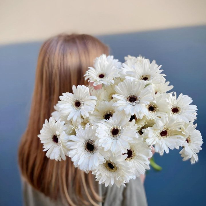 Охапка гербер в Смоленске