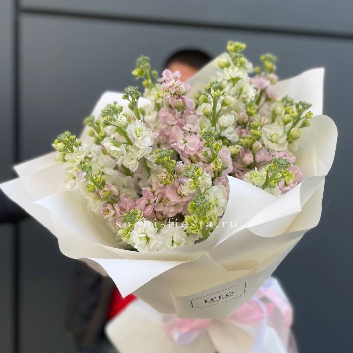 29 маттиол  в Смоленске