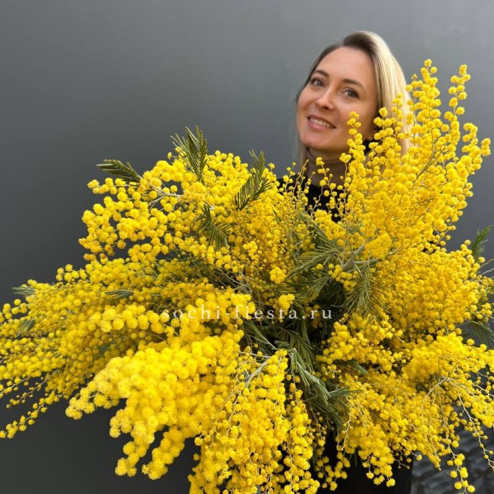 Охапка мимозы №2 в Смоленске
