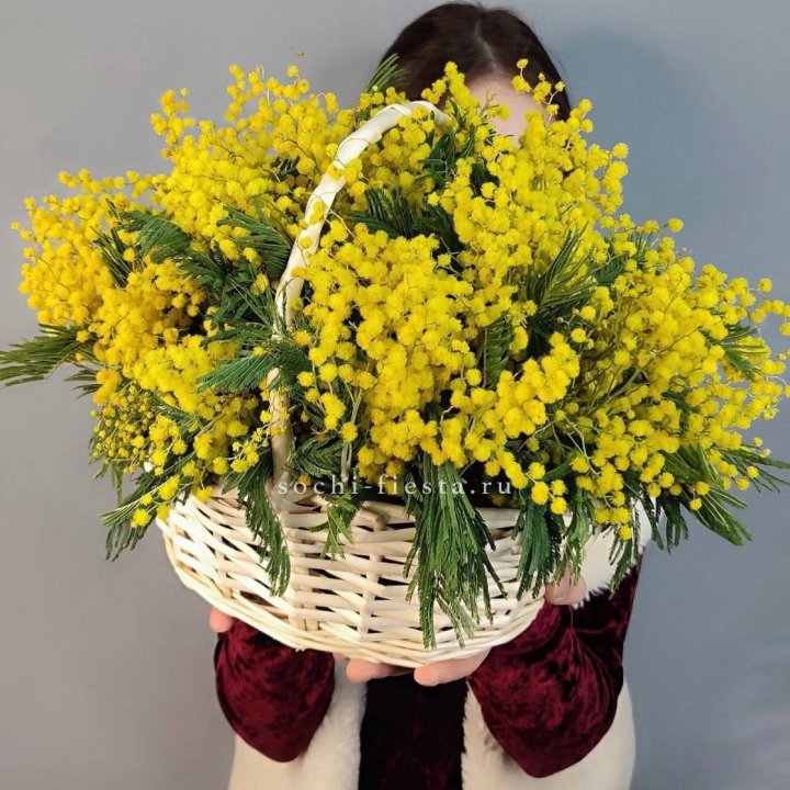 Корзина ароматной мимозы в Смоленске