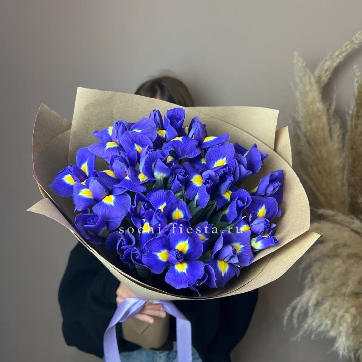 Ирисы в Смоленске