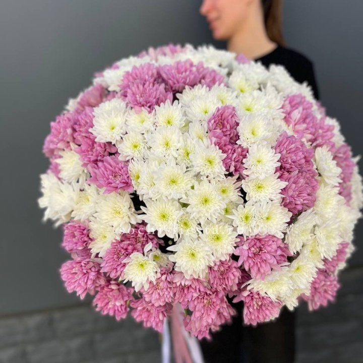  Букет 25 хризантем микс в Смоленске