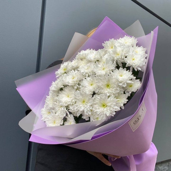  7 хризантем  в Смоленске