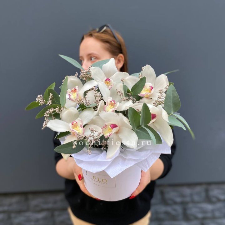 7 орхидей в боксе в Смоленске