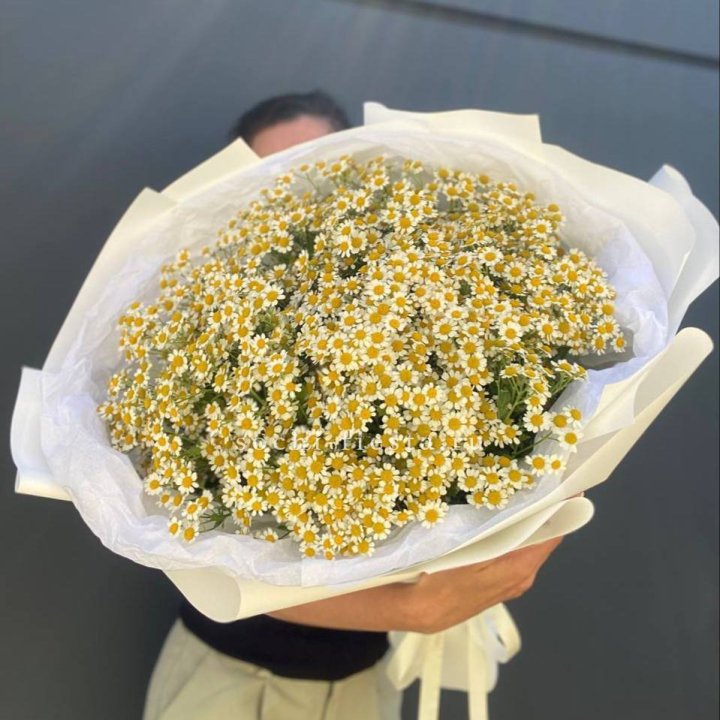 Букет ромашек №2 в Смоленске