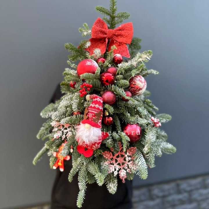 Новогодняя елочка "Ред" в Смоленске