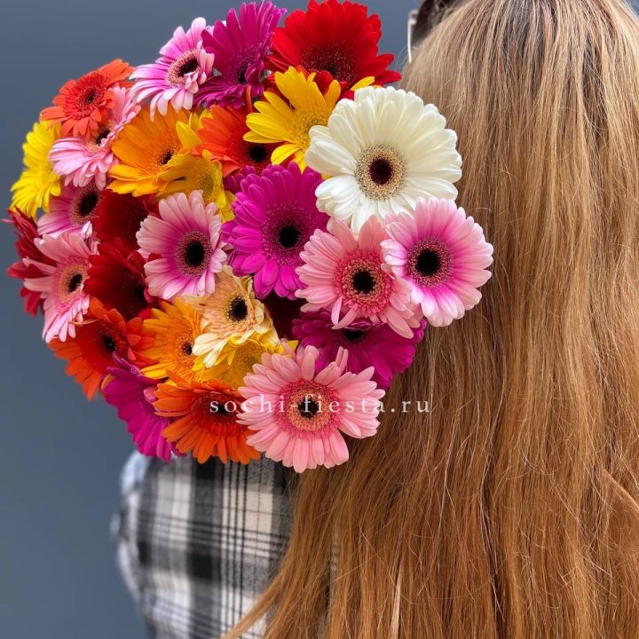 Охапка гербер  в Смоленске