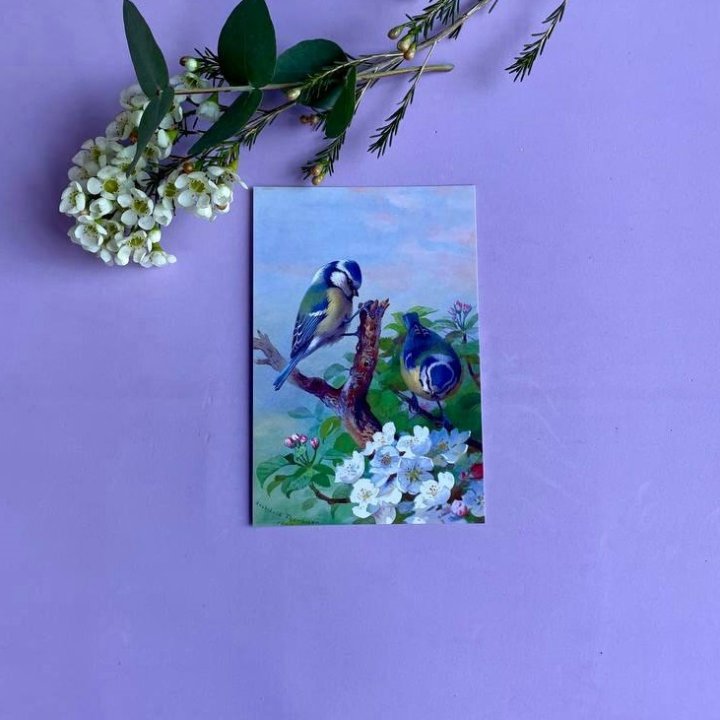 Открытка к букету "Птицы" в Смоленске