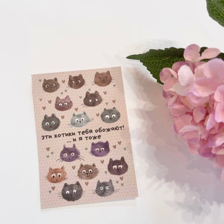 Открытка к букету "Котики" в Смоленске