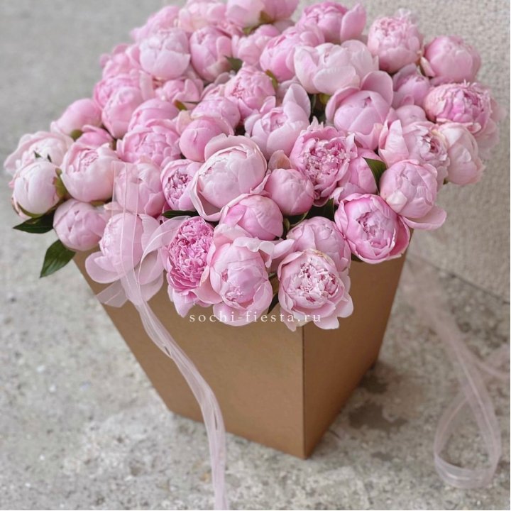 49 пионов в крафт коробке в Смоленске