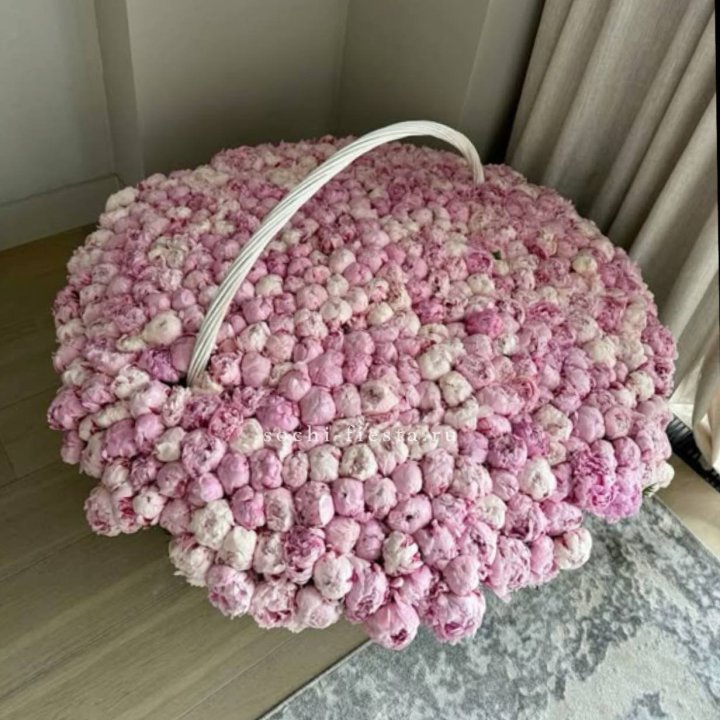 Корзина 555 пионов в Смоленске