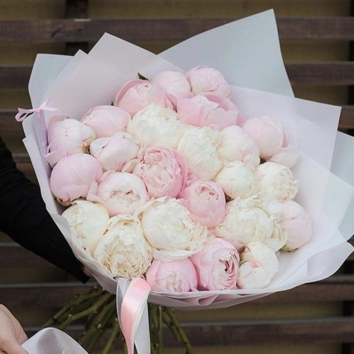 29 пионов в Смоленске