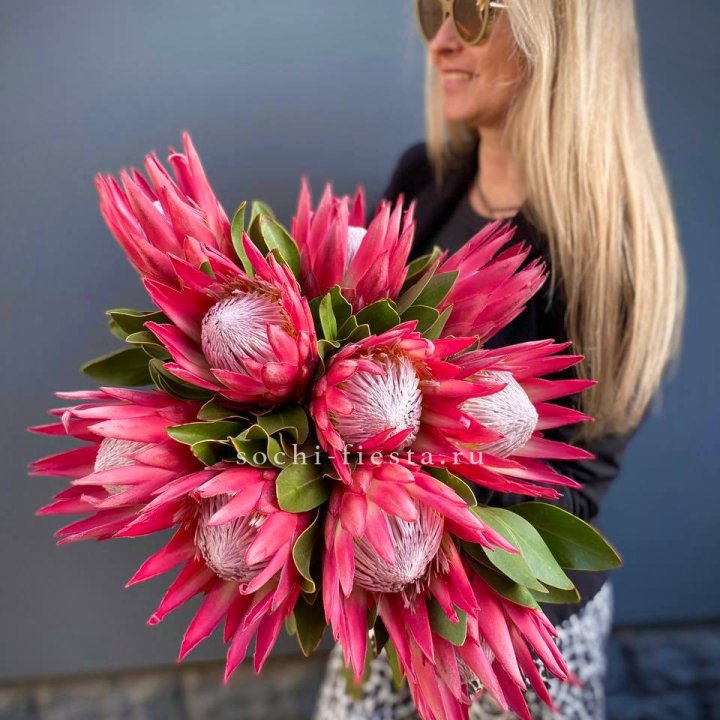 Протея штучно в Смоленске