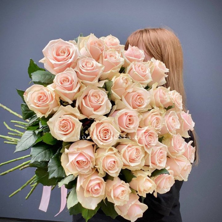 35 кремовых высоких роз в Смоленске