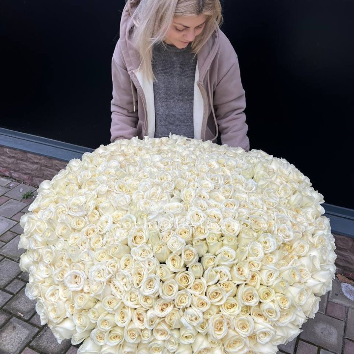 501 белая роза в корзине в Смоленске