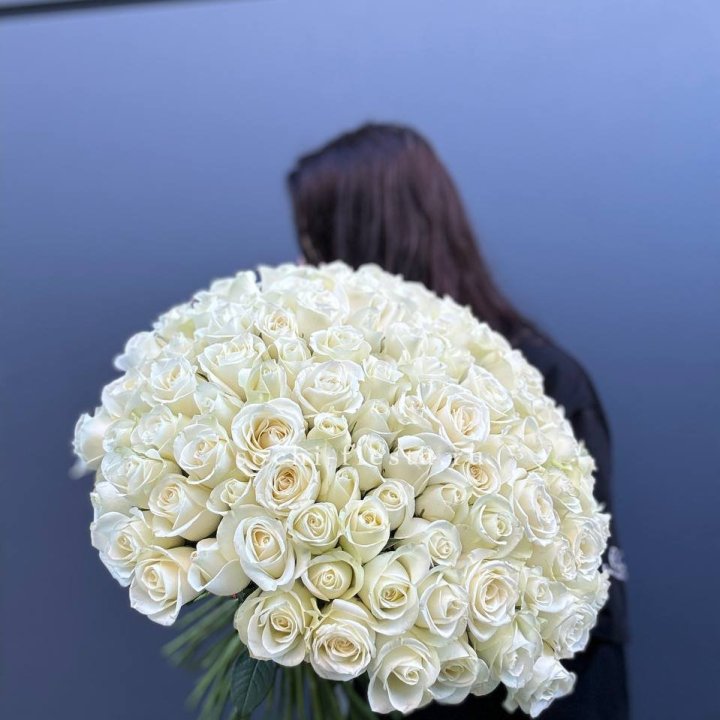 Охапка из 101 белой розы  в Смоленске
