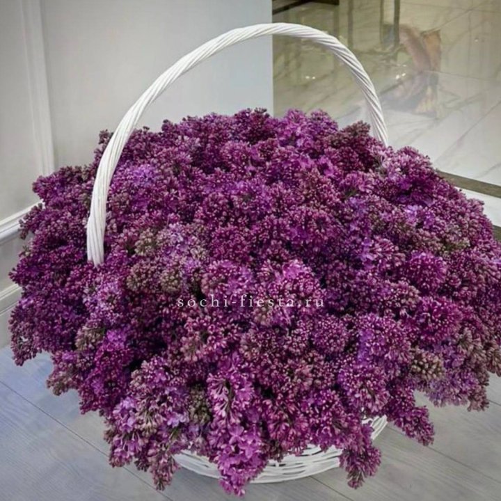 Корзина сирени в Смоленске