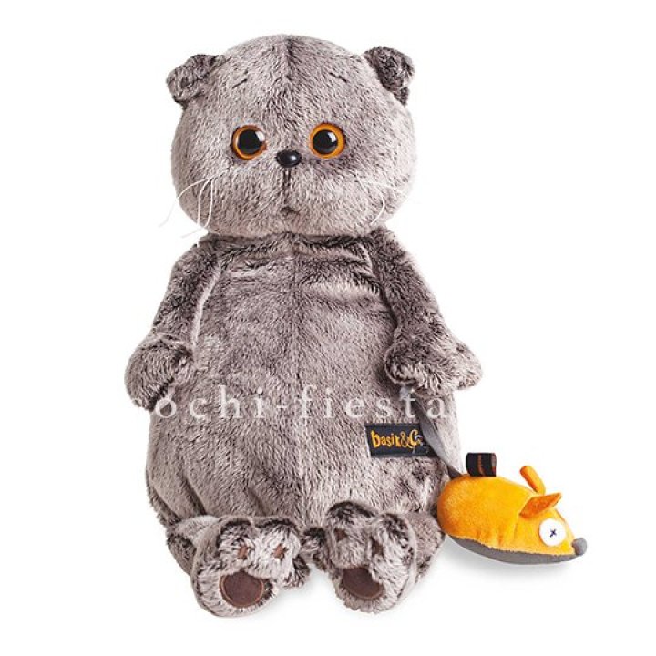 Кот Басик с мышкой в Смоленске