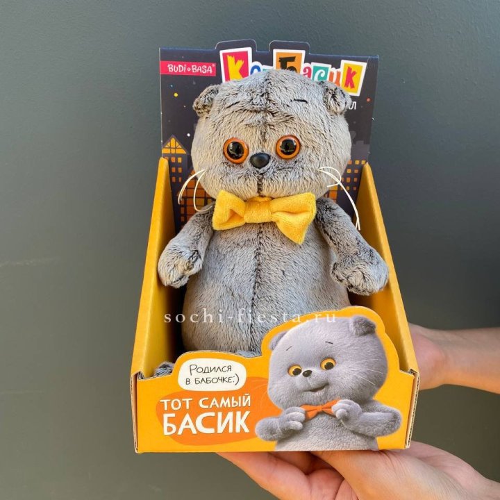 Кот Басик с бабочкой в Смоленске