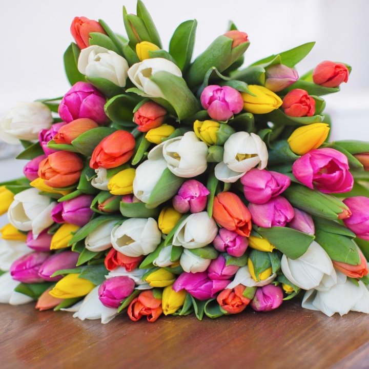 79 тюльпанов "Рандом" в Смоленске