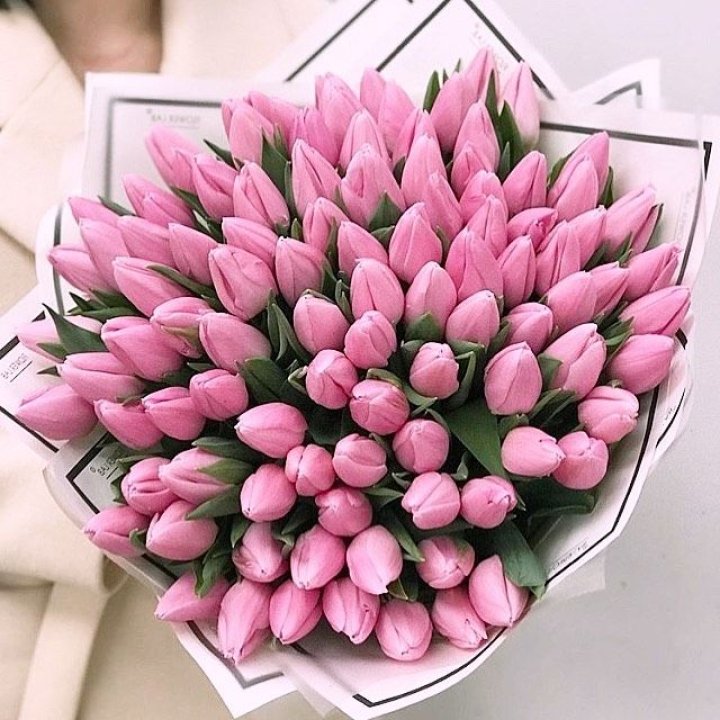 101 розовый тюльпан в белом в Смоленске