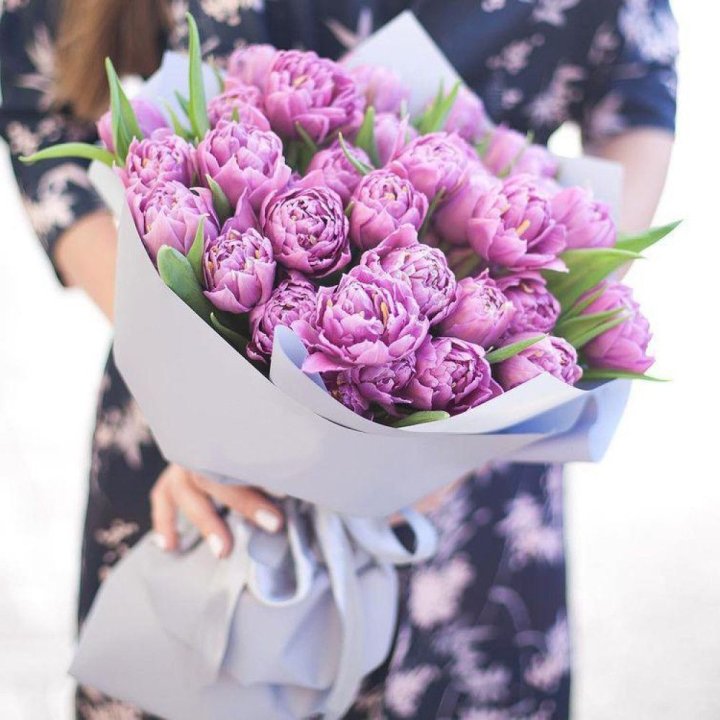 Тюльпаны "Пионс" в Смоленске