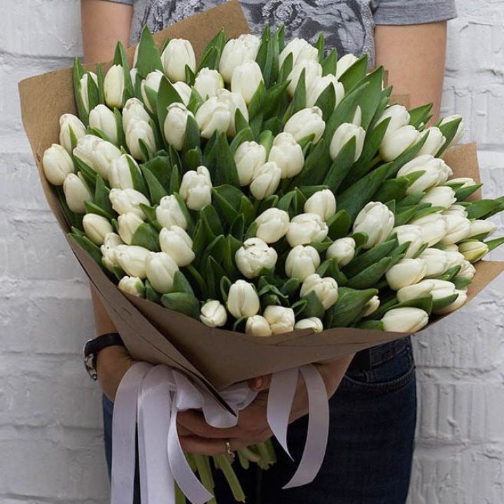 101 тюльпан сноу в Смоленске