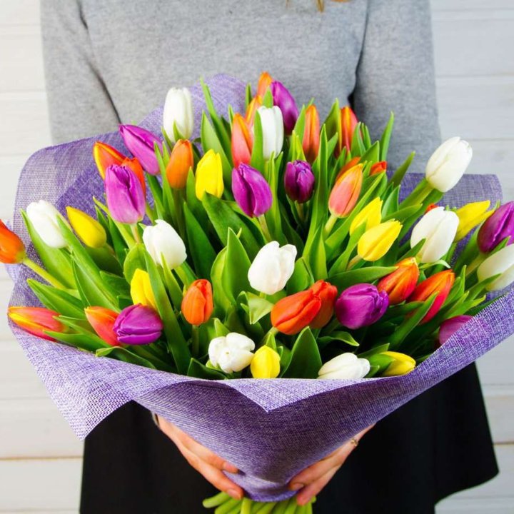 51 тюльпан "Рандом" №2 в Смоленске