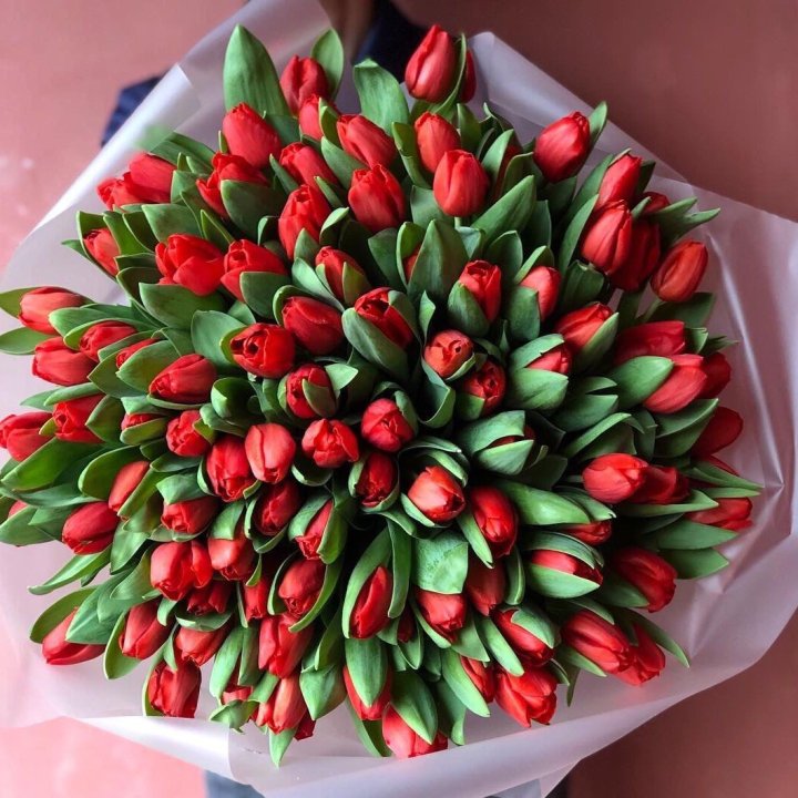 101 красный тюльпан в Смоленске